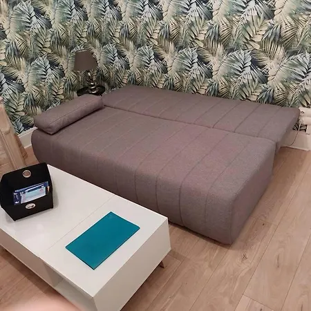 Apartment Cocon Surprise Vous Attend A Dunkerque